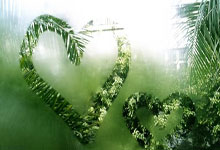 Zcash: Its Groundbreaking Vision, Price Predictions, and Why It Matters – What Reddit is Saying