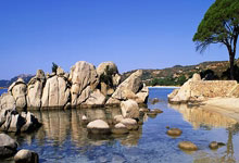 Pizza: Its Revolutionary Journey and What It Means for Our Future